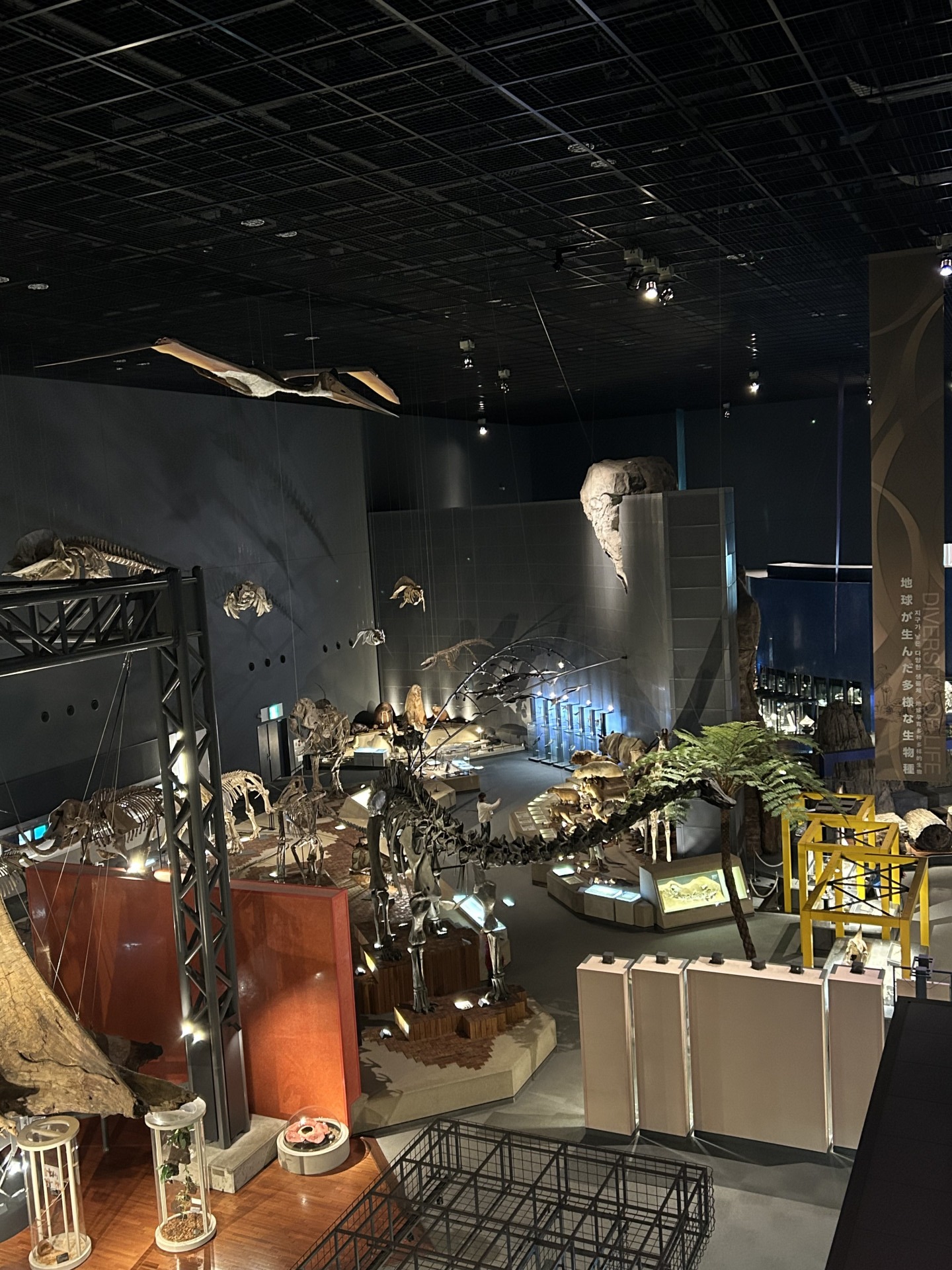 箱根自然観察ツアー (5)